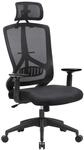 SONGMICS ergonomischer B&uuml;rostuhl mit Lendenwirbelst&uuml;tze, Schreibtischstuhl,