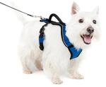 PetSafe EasySport Hundegeschirr - Strapazierf&auml;higes, gepolstertes Material,