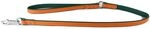 Das Lederband Hundeleine Firenze orange/Forest 130 cm / 10 mm