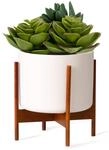 Fox&Fern Pflanzenst&auml;nder WIDE- Blumenhocker inklusive &Uuml;bertopf aus Keramik -
