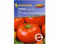 Tomate, Pyros (Fleischtomate)