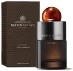 Edp Neon Amber 100 ml