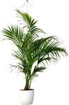 Parus by Venso SUNLiTE XL LED Vollspektrum Pflanzenlampe Wei&szlig; 25W Indoor Plants