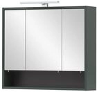 Schildmeyer Kent Spiegelschrank 151134, waldgr&uuml;n, 70 x 16 x 64,2 cm