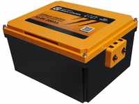 LIONTRON LiFePO4 12,8V 200Ah LX Arctic Under seat Battery; 2560Wh; geeignet...