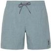 Protest Herren Badeshorts Davey S