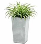 Prosperplast Blumentopf Beton-Optik &ndash; moderner Pflanzk&uuml;bel mit Einsatz, robust &