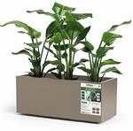 Euro 3 Plast Kebe Kiste aus recyceltem Kunststoff mit integriertem Wasserspeicher,