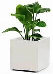 euro3plast 609401 Wei&szlig; Greener KEBE 3157.03Pflanzkasten Kunststoff