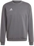 adidas Herren Entrada 22 Sweatshirt, Team Grey Four, XXL
