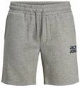 JACK & JONES JJINEWSOFT Sweat Shorts GMS
