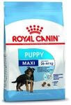 Royal Canin Maxi Junior, 1er Pack (1 x 1 kg)