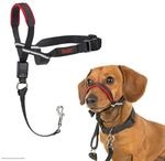 HALTI Optifit Kopfgeschirr, Gr&ouml;&szlig;e Klein- Verhindert, dass Ihr Hund an der Leine
