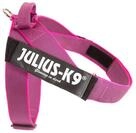Julius-K9, IDC&reg; Color & Gray&reg; Beltgeschirr