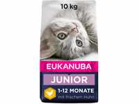 Eukanuba Junior Katzenfutter trocken - Premium Trockenfutter für Kitten von 1-12