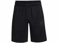 Under Armour Mens Shorts Men's Ua Baseline 10' Shorts, Black, 1370220-001, SM
