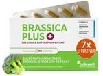 Brokkolisprossen Extrakt Kapseln | h&ouml;chstdosiert | 280.000 mg Brokkoli | 99%