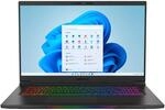ERAZER Beast X30 43,9 cm (17,3 Zoll 100% sRGB 165Hz) QHD Gaming Notebook (Intel Core