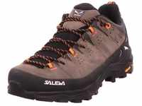 Salewa Men's Alp Trainer 2 GTX M Hiking Shoes, Pale Frog Black, 13 UK