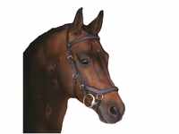 Horseware Rambo Micklem Deluxe Competition Bridle Trense Farbe und Größe...