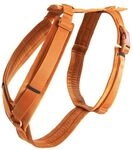 Kentucky - Hundegeschirr aktiv velvet orange S 26-40cm