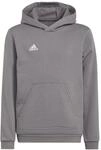 adidas Unisex Kinder Entrada 22 Sweat Hoodie, Team Grey Four, 164