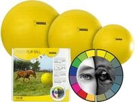 Maximus Power Play Ball 65 cm