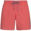 Protest Herren Badeshorts Davey S