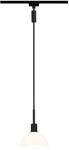 Paulmann 96974 URail Pendel Sarrasani E14 max. 20W dimmbar 230V Schwarz matt,...