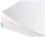 Soennecken Computerpapier 5916 240mmx12Zoll blanko 1.000 Bl./Pack.