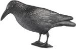 Windhager Gartenfigur Rabe, Taubenabwehr und Taubenschreck aus Kunststoff,