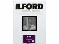 Ilford 1x100 MG RC DL 44M 9x13