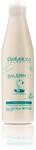 Salerm Cosmetics 21 Silk Protein Leave-In Conditioner , 250 Ml (1Er Pack)