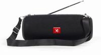 Gembird tragbarer Bluetooth-Lautsprecher mit Antenne - kabellos,...