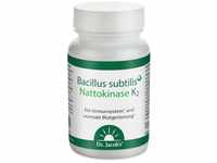 Bacillus subtilis plus I Bacillus subtilis mit Nattokinase-Enzym, Vitamin K₂