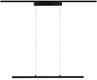 Paulmann LED-Pendelleuchte URail 42W LED Schwarz (matt)
