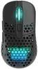 Xtrfy M42 Wireless, kabellose ultraleichte Gaming-Maus, optimiert f&uuml;r E-Sports, 2.4