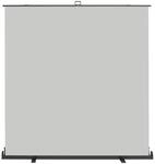 Walimex pro Roll-up Panel Hintergrund grau 210 x 220 cm, Fotohintergrund mit