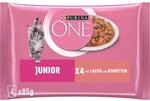 PURINA ONE Junior Katzenfutter nass, mit Lachs und Karotten, 12er Pack (12 x 4 Beutel