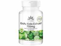 Gotu Kola 750mg - hochdosierter Extrakt - vegan - 120 Tabletten - mit Zink und