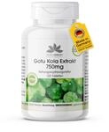 Gotu Kola 750mg - 120 Tabletten - hochdosierter Extrakt - vegan - mit Zink und