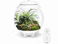 biOrb AIR 30 weiß - Terrarium mit LED-Beleuchtung / Acryl-Becken zur Pflanzenpflege