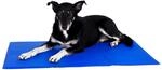 lionto K&uuml;hlmatte f&uuml;r Hunde & Katzen, selbstk&uuml;hlende Haustiermatte sorgt f&uuml;r