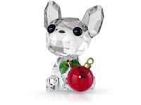 Swarovski Holiday Cheers Französische Bulldogge, Weihnachtliches Ornament mit