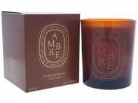 Diptyque - Scented Candle - Hunger (Bernstein) 300 g