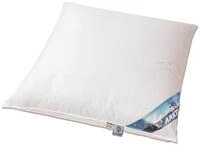 betten-traum-land ARKTIC Daunenkissen 100% Natur 80x80 cm ohne Federnanteil