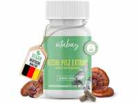Vitabay Reishi Pilz Extrakt 500 mg | 90 vegane Kapseln mit 35% aktive...