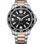 Citizen B&uuml;rger AW1524-84e Uhr