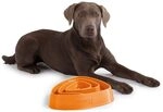 Edupet 06028AC Futternapf, Anti-schling Napf, Fressnapf, Feeder slow Eating, Slow