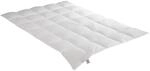Irisette Daunendecke Edda warme Winterdecke, aus 100% Baumwolle 90% Daunen, 10%
